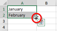 Excel Fill Handle Icon