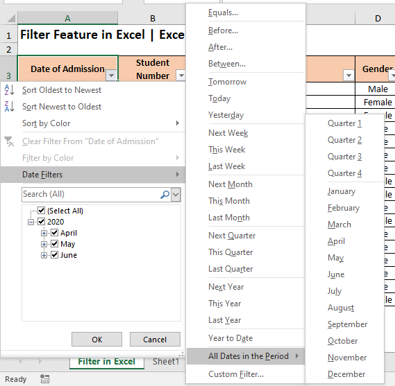 Date Filter #1