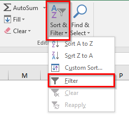 Filter Option under Home Tab