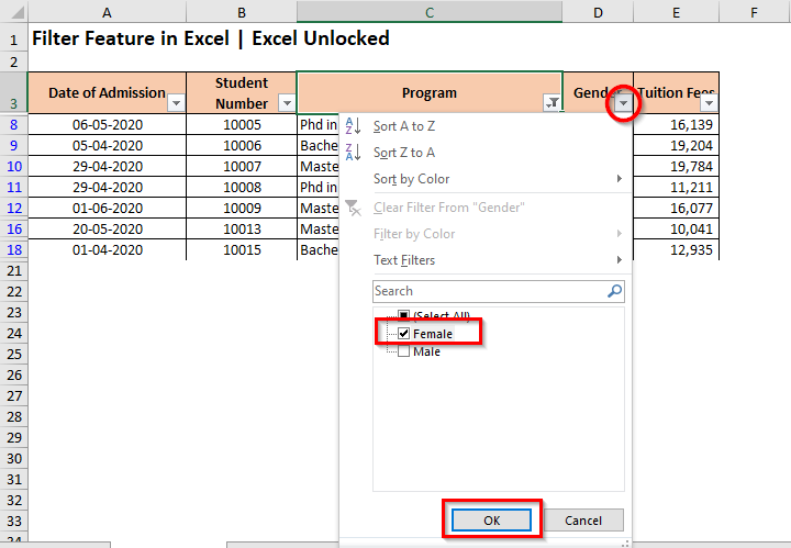 Adding Filter In Excel 0861