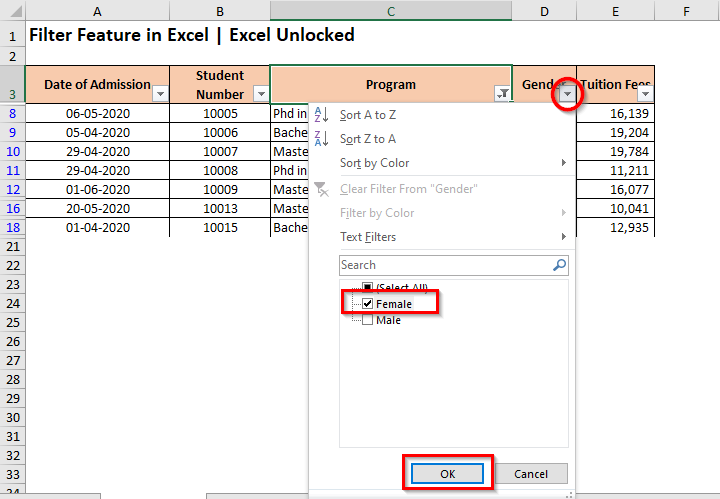 what-is-filtering-in-excel