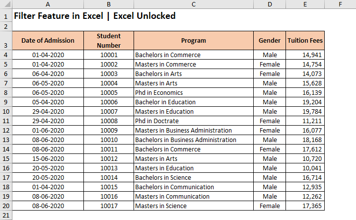 Sample Data - Filter Feature in Excel