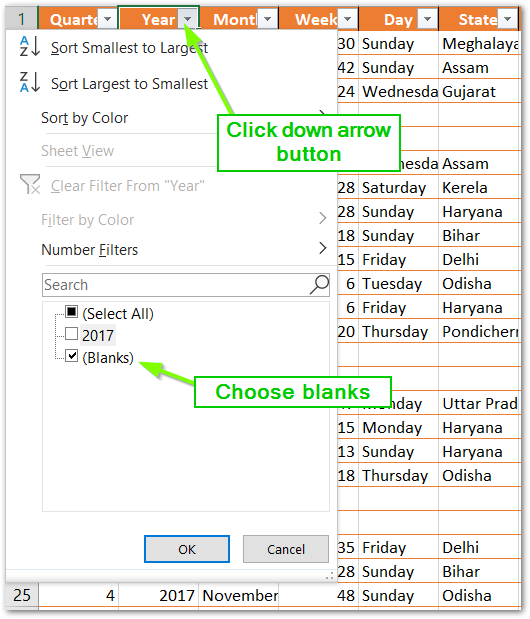 usinf filter in excel to remove blank records